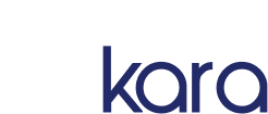 big-logo